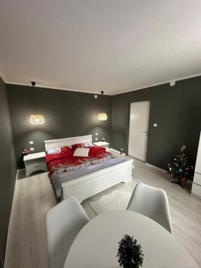 Luxury Apartment